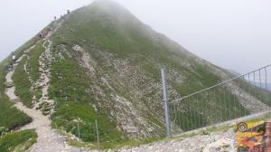 Photo numéro 12