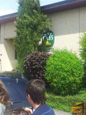 Photo numéro 5