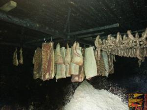 Photo numéro 2